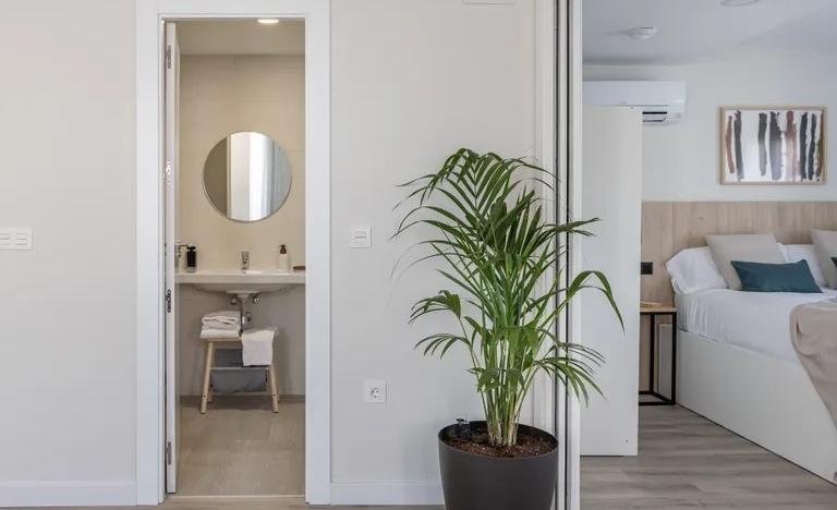 apartamentos de Day Apartment para alquiler para empresas en Granada Centro-Sagrario