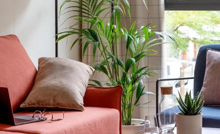 apartamentos de Day Apartment para alquiler para empresas en Vitoria-Gasteiz Casco Viejo