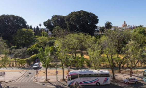 apartamentos de day apartment para alquiler para empresas en Sevilla Sevilla Centro