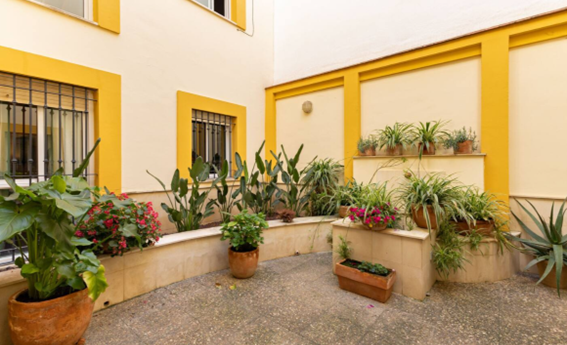 apartamentos de day apartment para alquiler para empresas en Sevilla Triana (Casco Antiguo y este). 