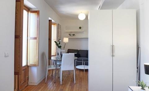 apartamentos de day apartment para alquiler para empresas en Madrid La Latina