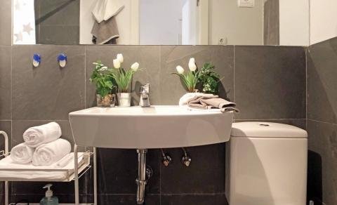 apartamentos de day apartment para alquiler para empresas en Madrid La Latina