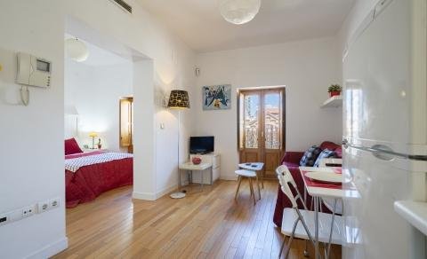 apartamentos de day apartment para alquiler para empresas en Madrid La Latina
