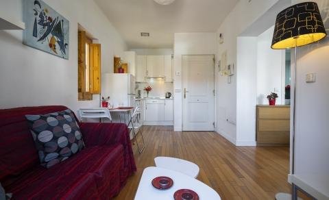 apartamentos de day apartment para alquiler para empresas en Madrid La Latina