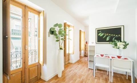 apartamentos de day apartment para alquiler para empresas en Madrid La Latina