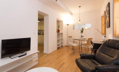 apartamentos de day apartment para alquiler para empresas en Madrid La Latina
