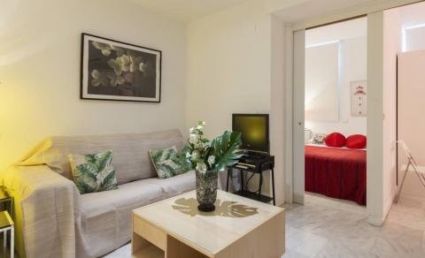 apartamentos de day apartment para alquiler para empresas en Madrid La Latina