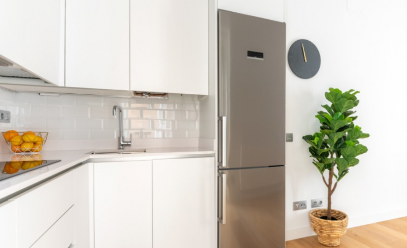 apartamentos de day apartment para alquiler para empresas en Madrid Malasaña
