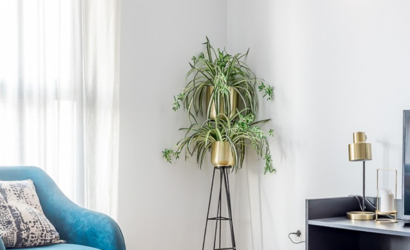 apartamentos de day apartment para alquiler para empresas en Madrid Retiro