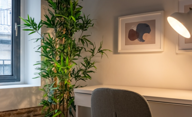 apartamentos de day apartment para alquiler para empresas en Barcelona Raval