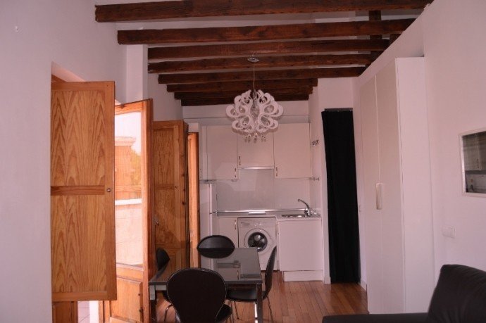 apartment from day apartment for rent for companies in Madrid La Latina