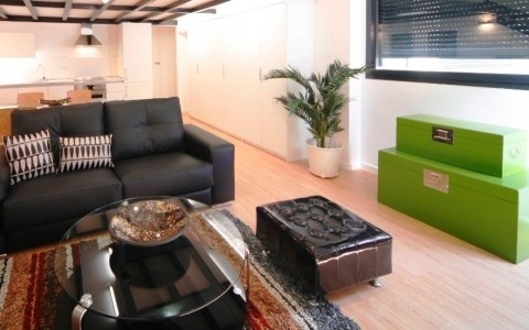 apartment from day apartment for rent for companies in Madrid Chamartin