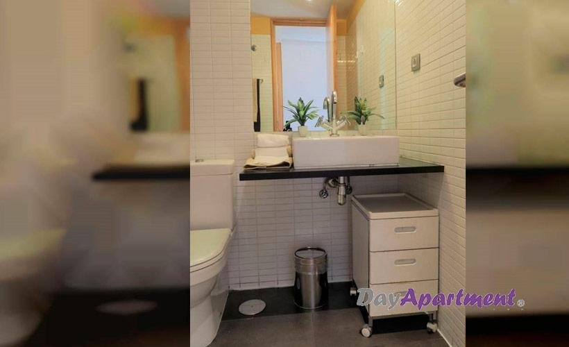 apartment from day apartment for rent for companies in Madrid Sol