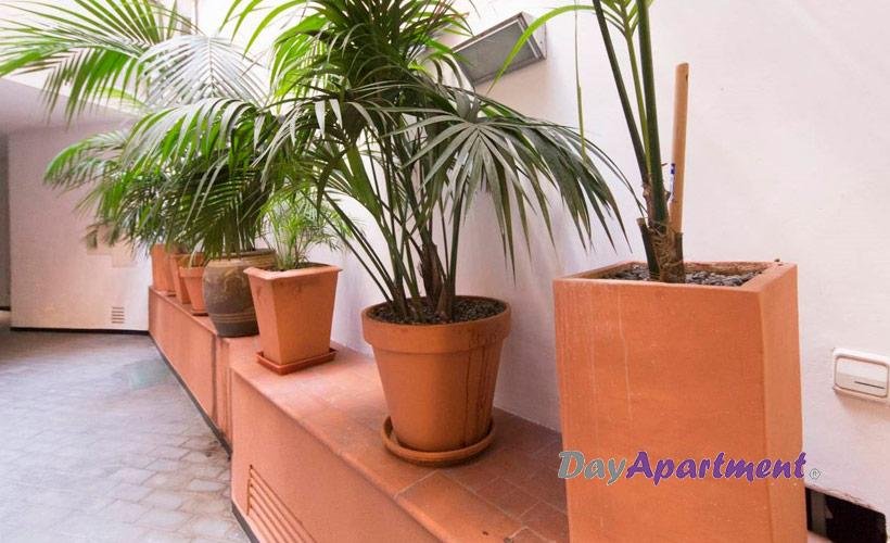 apartamentos de day apartment para alquiler para empresas en Madrid Sol