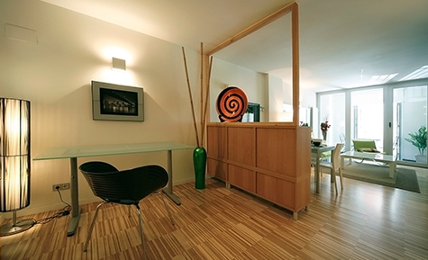 apartamentos de day apartment para alquiler para empresas en Madrid Sol