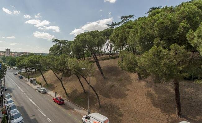apartment from day apartment for rent for companies in Madrid La Latina