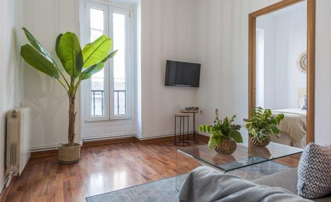 apartment from day apartment for rent for companies in Madrid La Latina