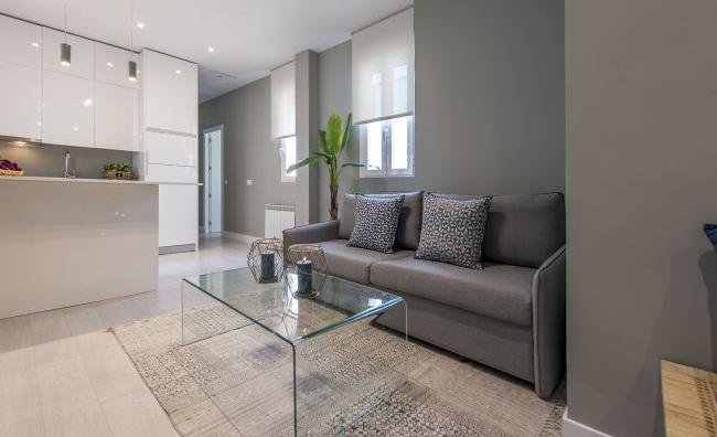 apartamentos de day apartment para alquiler para empresas en Madrid Salamanca