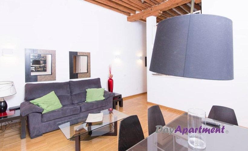 apartamentos de day apartment para alquiler para empresas en Madrid Sol