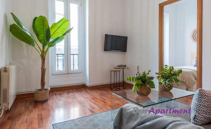 apartamentos de day apartment para alquiler para empresas en Madrid La Latina