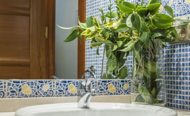 apartamentos de day apartment para alquiler para empresas en Madrid Salamanca