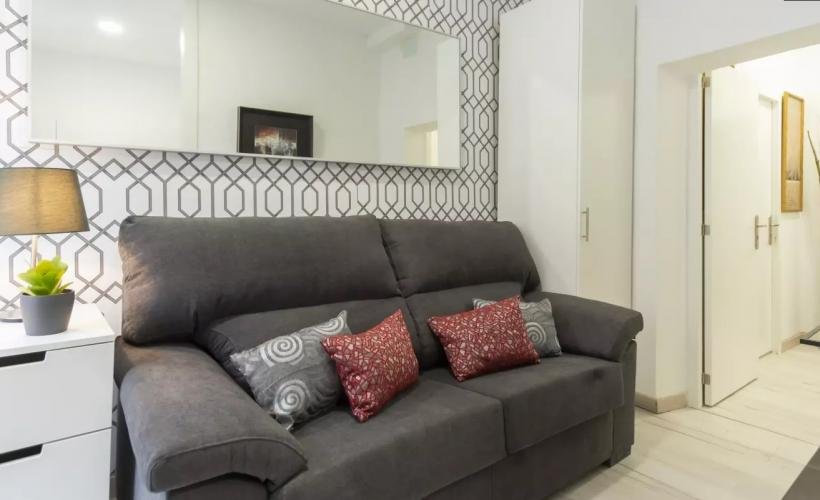apartment from day apartment for rent for companies in Madrid Sol