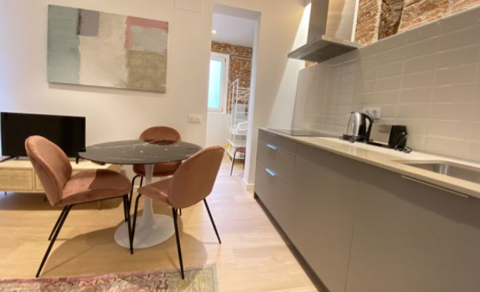 apartamentos de day apartment para alquiler para empresas en Madrid La Latina