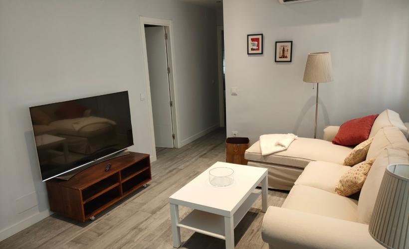 apartment from day apartment for rent for companies in Madrid Chamartin