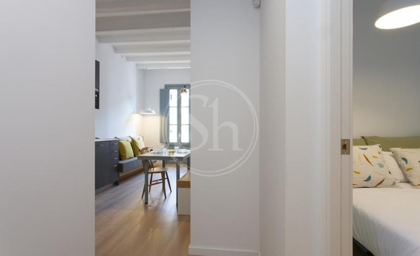 apartamentos de day apartment para alquiler para empresas en Barcelona Sants